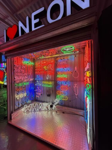 Banca de Neon Artista Alê Jordão