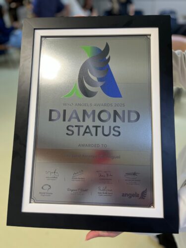 Cerfificado AVC Placa