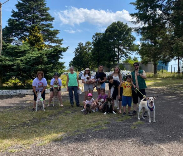 Feira Canela + Verde - Parque do Palácio
