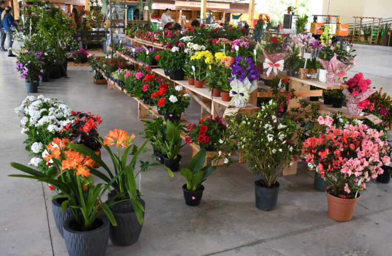 Florir6