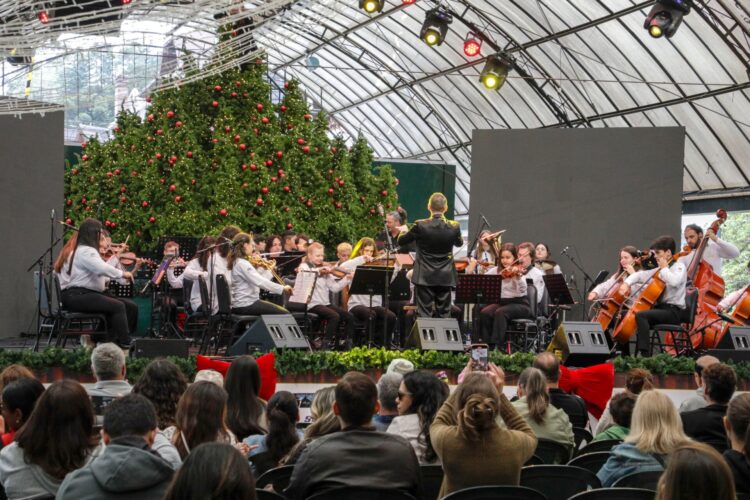 Orquestra Jovem