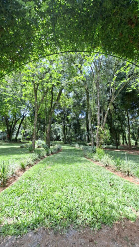 Villa Santa Isabela 1