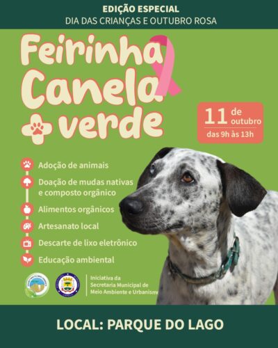 card divulgação (5)