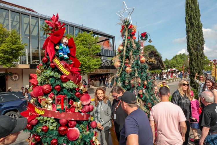 tannenbaumfest_foto_cleiton4